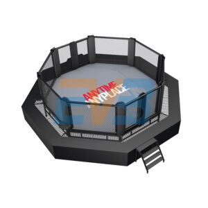 wedstrijd mma kooi